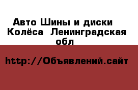 Авто Шины и диски - Колёса. Ленинградская обл.